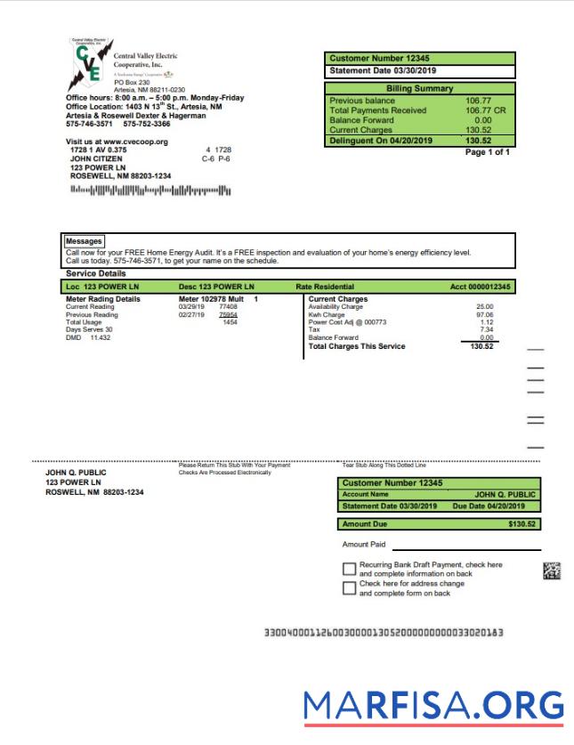 Blank USA New Mexico electricity proof of address utility bill template in Word and PDF format